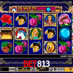 bet813 Rio de Janeiro - Professional Dealers